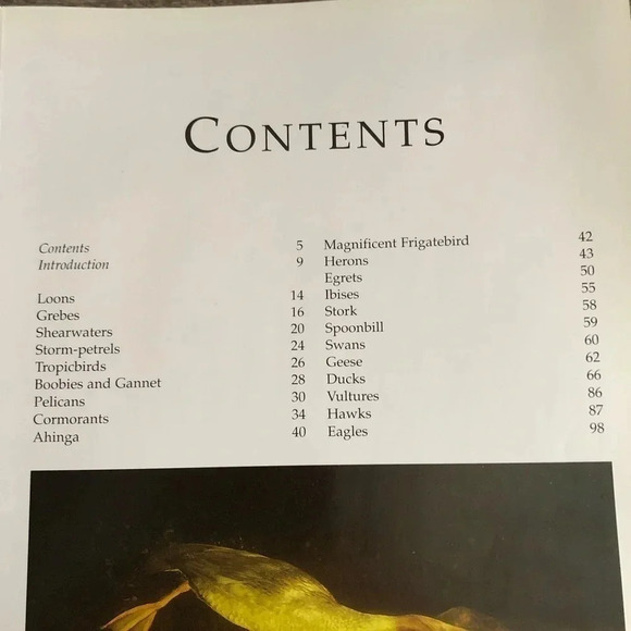 Vtg The Encyclopedia of North American  Birds - Picture 6 of 8